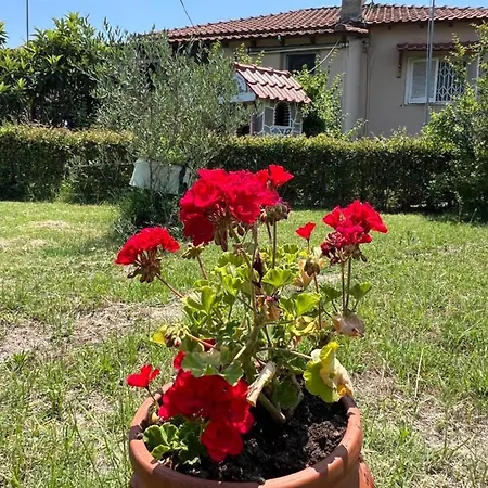 度假居 Vila Katerina Anna