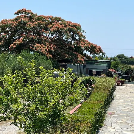 Vila Katerina Anna *
